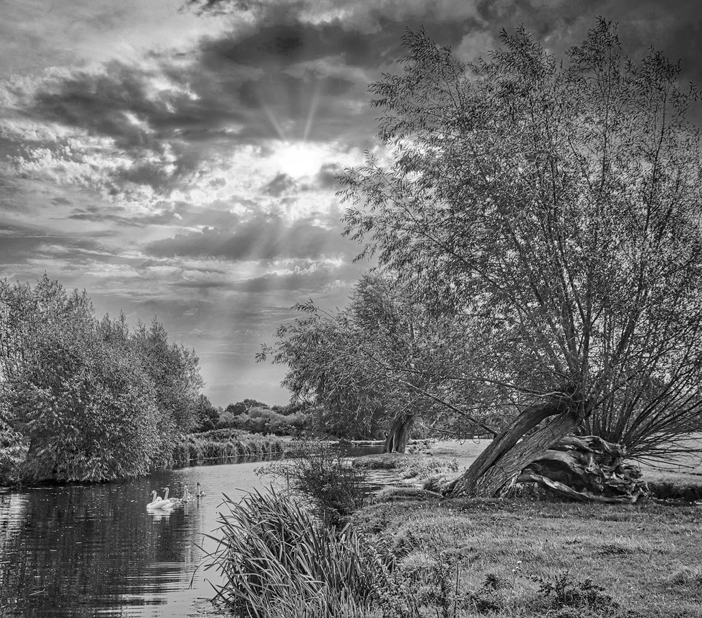 18  Summer evening River Stour jpeg